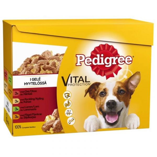 PEDIGREE 12X100G HYYTELÖLAJITELMA