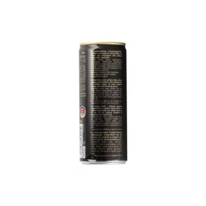 NEXT LEVEL ENERGIAJUOMA 250ML