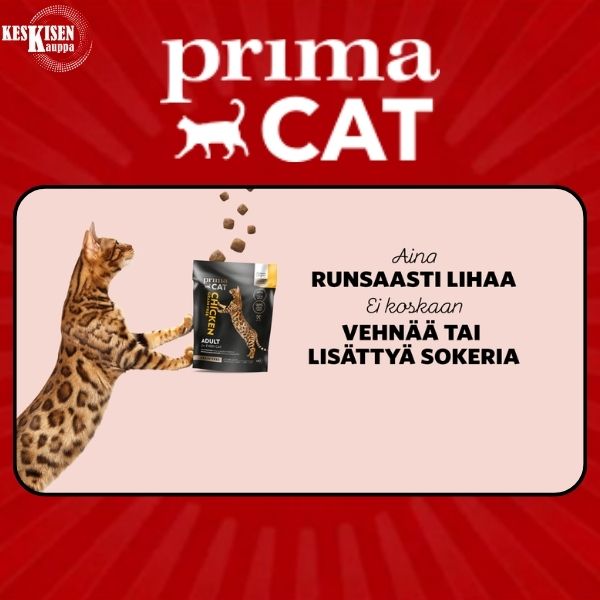 Kissan ruokinta on taitolaji, ja siksi kuuntelimme PrimaCat-kissanruokaa suunnitellessamme parhaita asiantuntijoita: suomalaisia kissanomistajia. Vaali arvokkaita hetkiä ja tarjoa kissallesi ruokaa, joka tekee sille hyvää